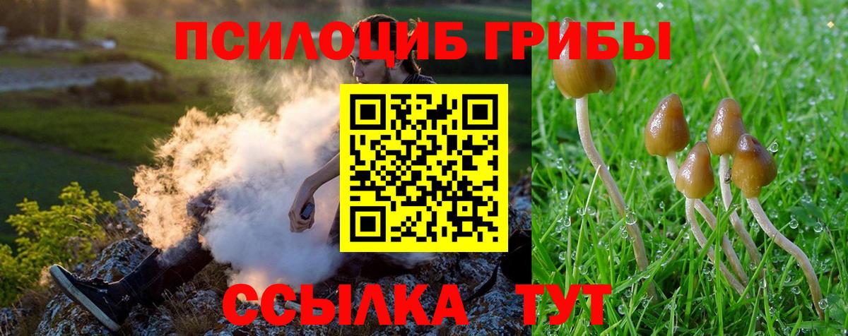 Галлюциногенные грибы мухоморы Бузулук
